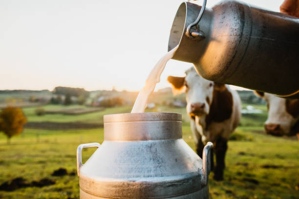 Leche De Vaca