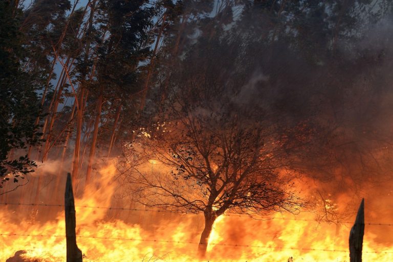 Mañueco anuncia 25 millones para recuperación de la zona afectada por el incendio de Navalacruz