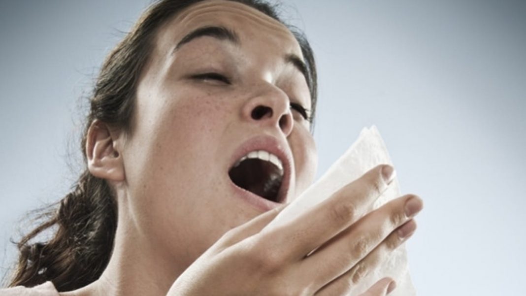 Cómo saber si tu alergia es al polen o a otra cosa