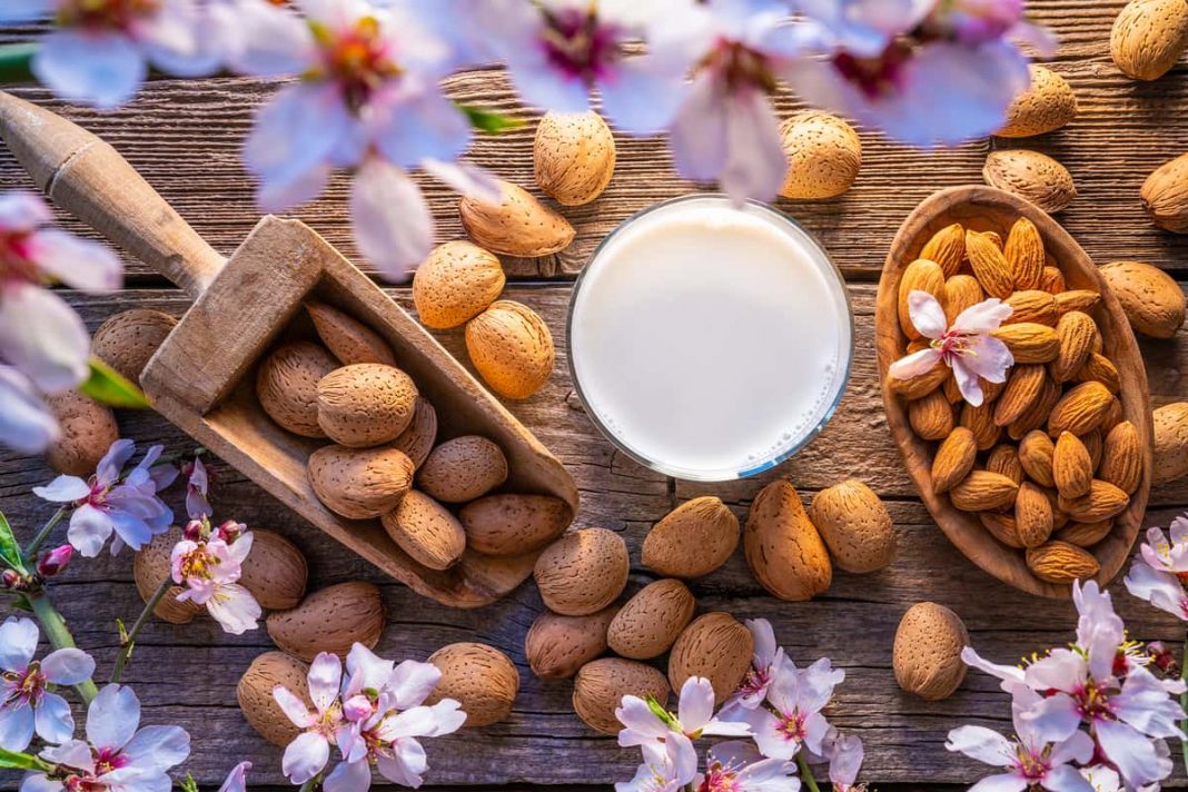 Por qué deberías comer almendras todos los días