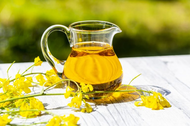 ¿Por qué en España apenas se toma aceite de colza?