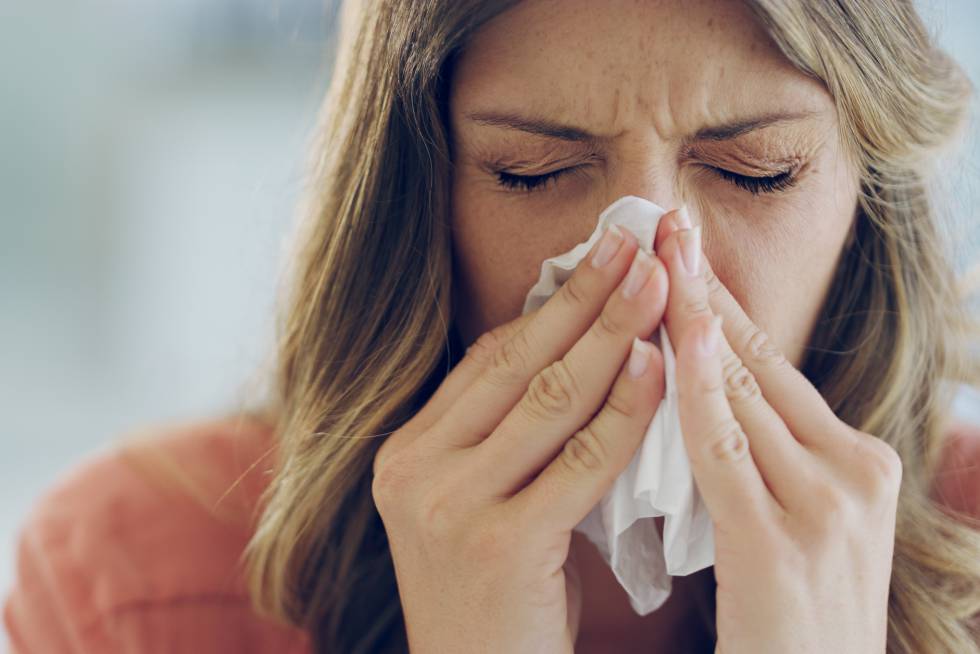 ¿La Histamina Ayuda Al Presentarse Las Alergias?
