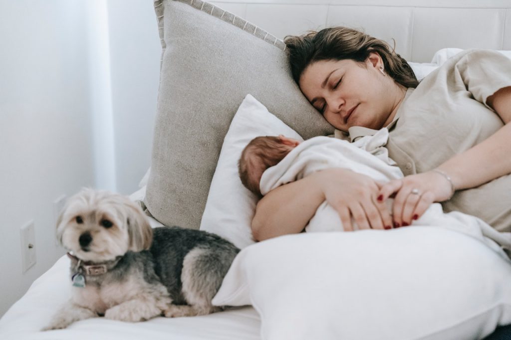 Por Qué Deberías Dormir La Siesta Todos Los Días