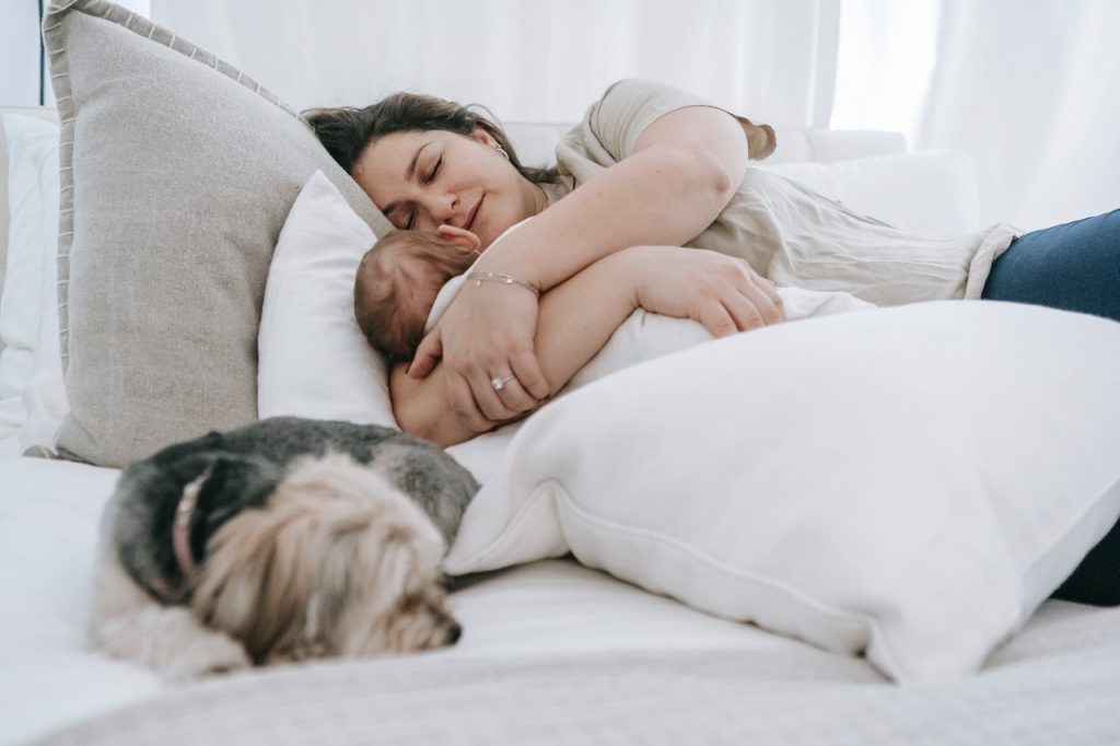 Por Qué Deberías Dormir La Siesta Todos Los Días