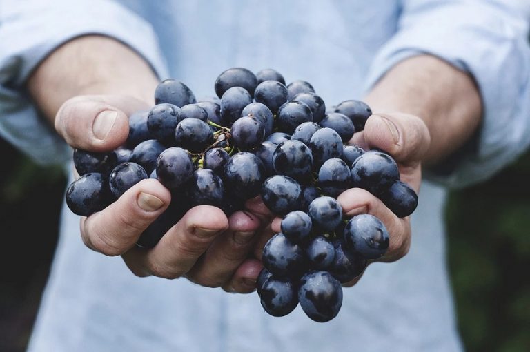 Algunos hábitos alimenticios saludables para el otoño
