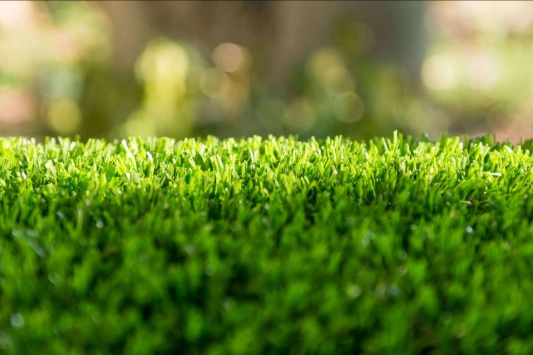 El césped artificial de Mundo Césped aporta belleza y practicidad para el jardín