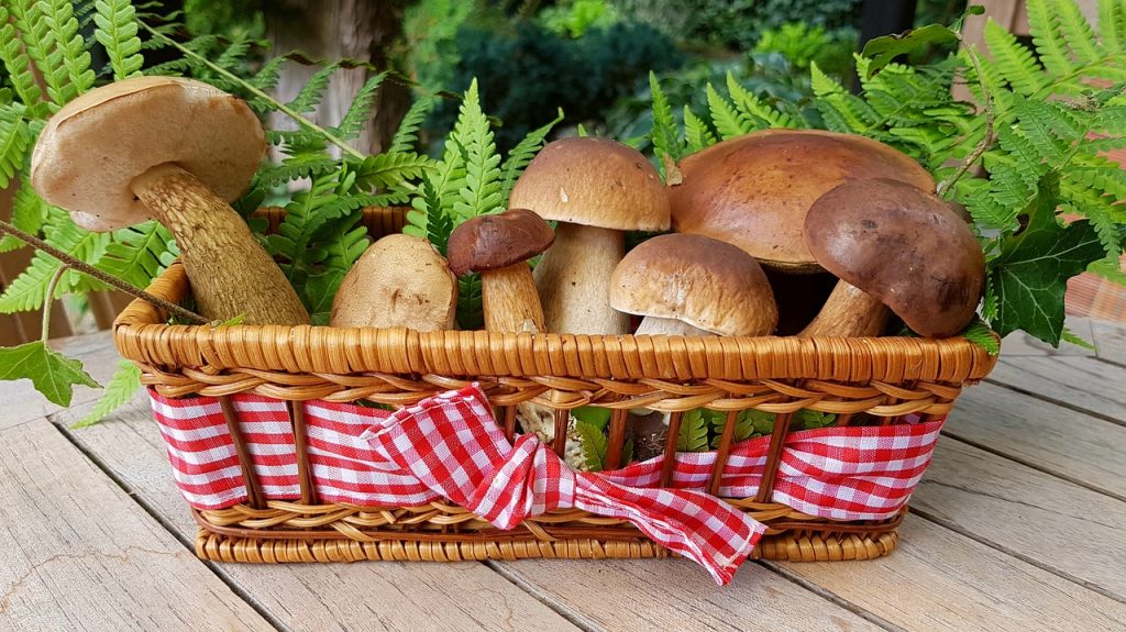 Níscalos Con Patatas: El Guiso De Otoño Que No Te Ha Enseñado Arguiñano