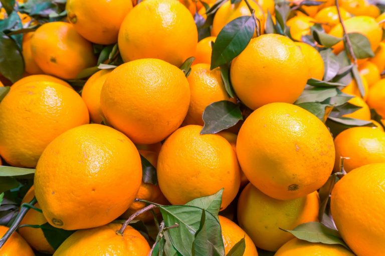 Estos son los usos que le puedes dar a la cáscara de las naranjas