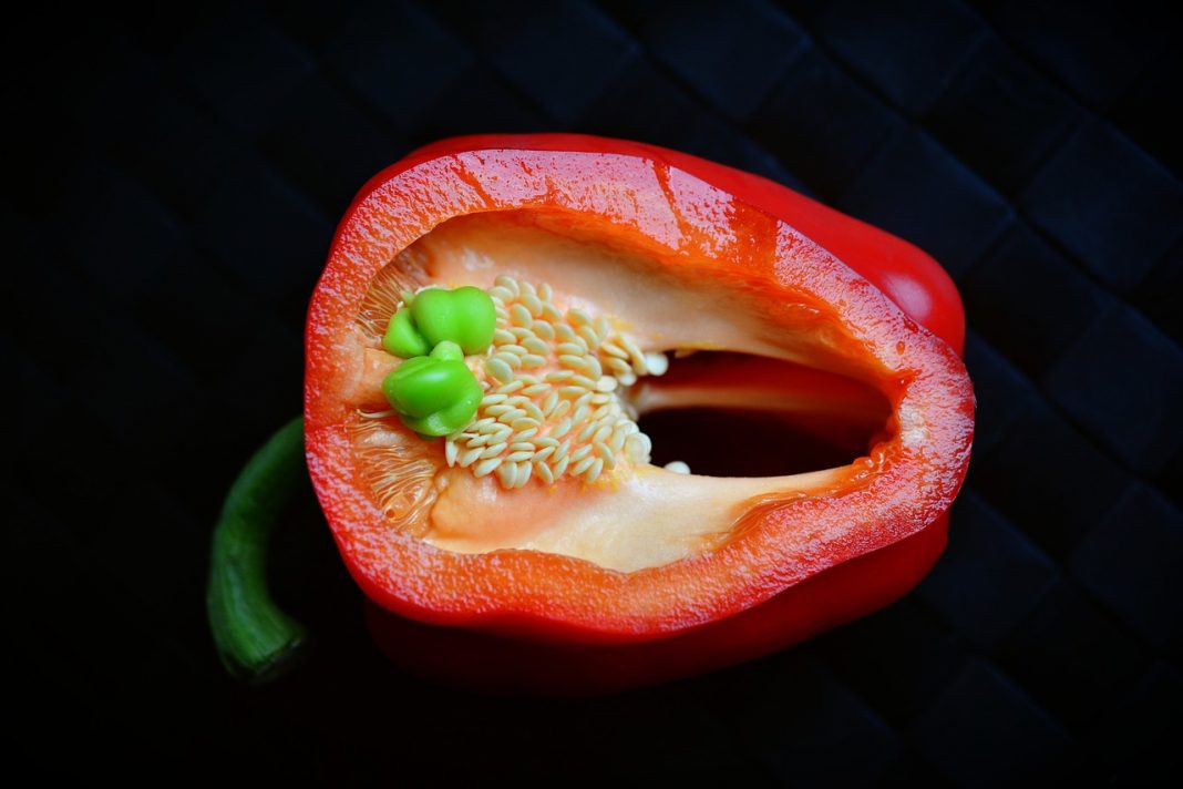 Pimientos rellenos de huevos, la exquisita receta que nunca has probado