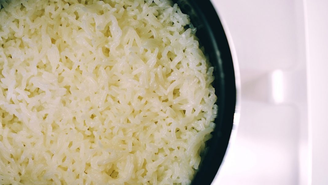 arroz