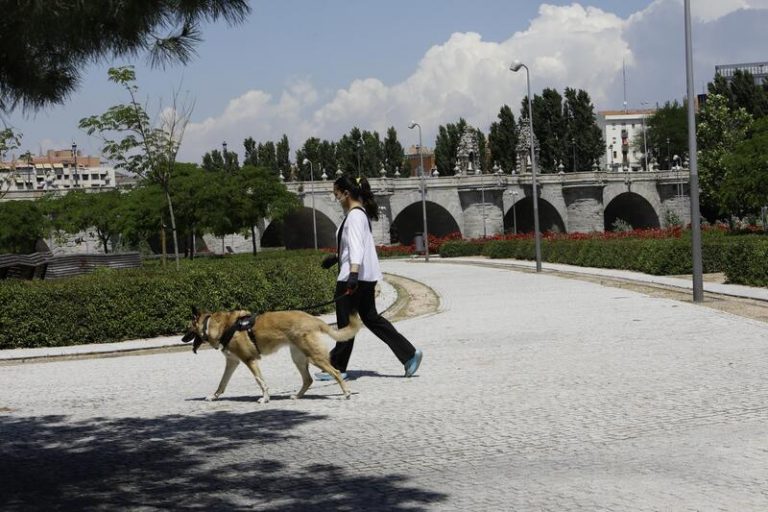 El Gobierno crea el galardón ‘Ciudades Amigas de los Animales’