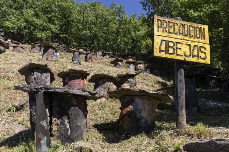 Más de un millón de Europeos apoya una iniciativa ciudadana para prohibir pesticidas