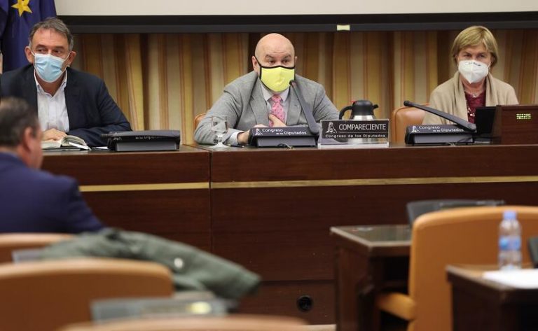 CERMI, dolido por la postura de PP y Vox en la modificación de ‘disminuido’ en la Constitución
