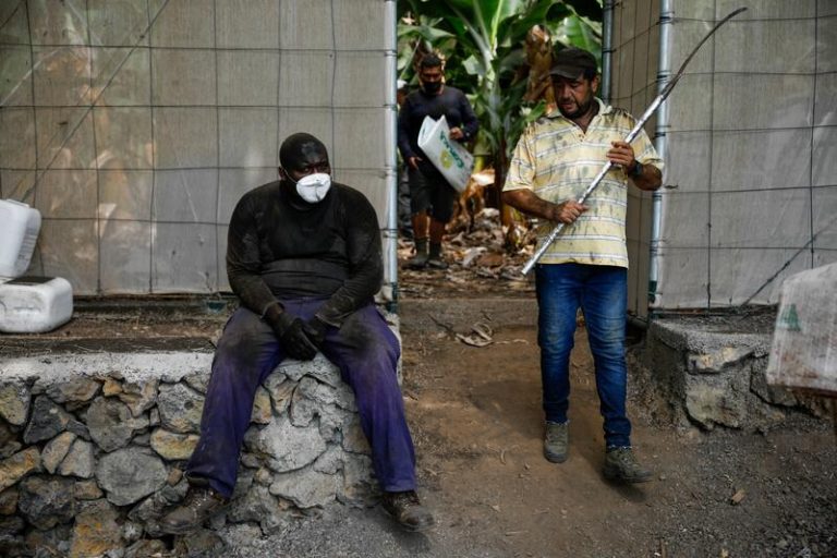 Los agricultores de La Palma, a la espera del agua de riego