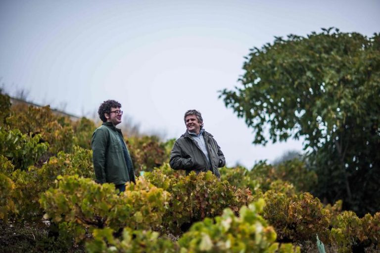 Descendientes de J. Palacios, primera bodega en España en lograr el ‘emblema verde’ de la Guía Parker