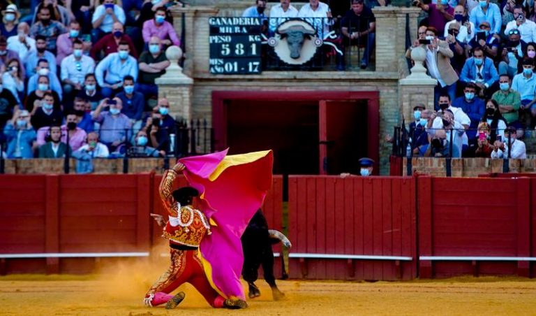 La Junta crea los Premios Andalucía de la Tauromaquia y la Red andaluza de municipios taurinos