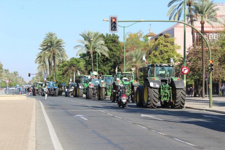 Agricultores y ganaderos andaluces claman en Sevilla por una PAC «justa»