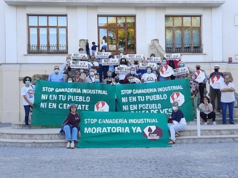 Organizaciones piden una moratoria de las macrogranjas y reducir ganadería industrial