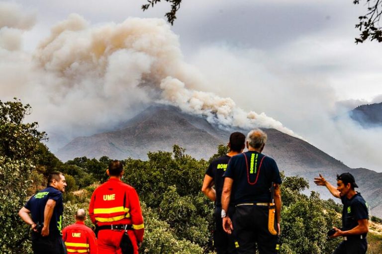 Los incendios forestales arrasaron 340.000 hectáreas de la UE en 2020