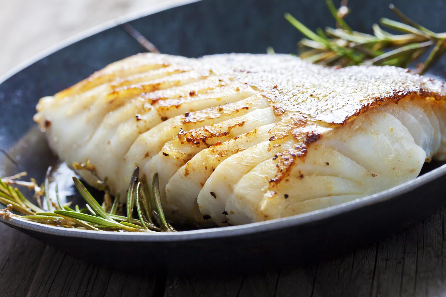 Bacalao