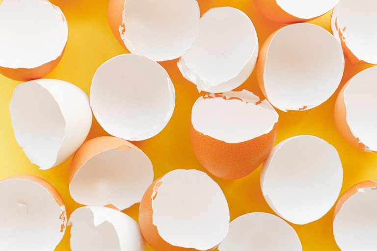 No tires la cáscara de los huevos: estos son los usos que puedes darle
