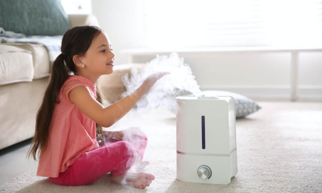 Purificador o humidificador, ¿cuál conviene más en invierno?