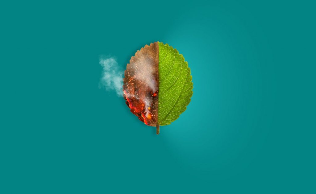 ¿A qué llamamos cambio climático?