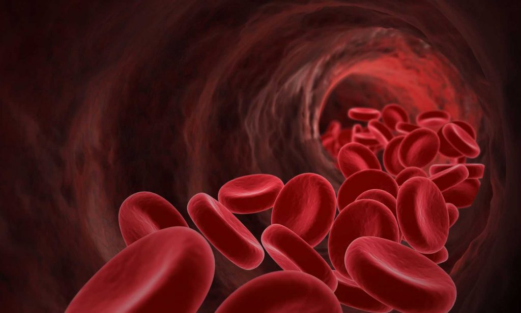 ¿Qué es un coágulo de sangre?