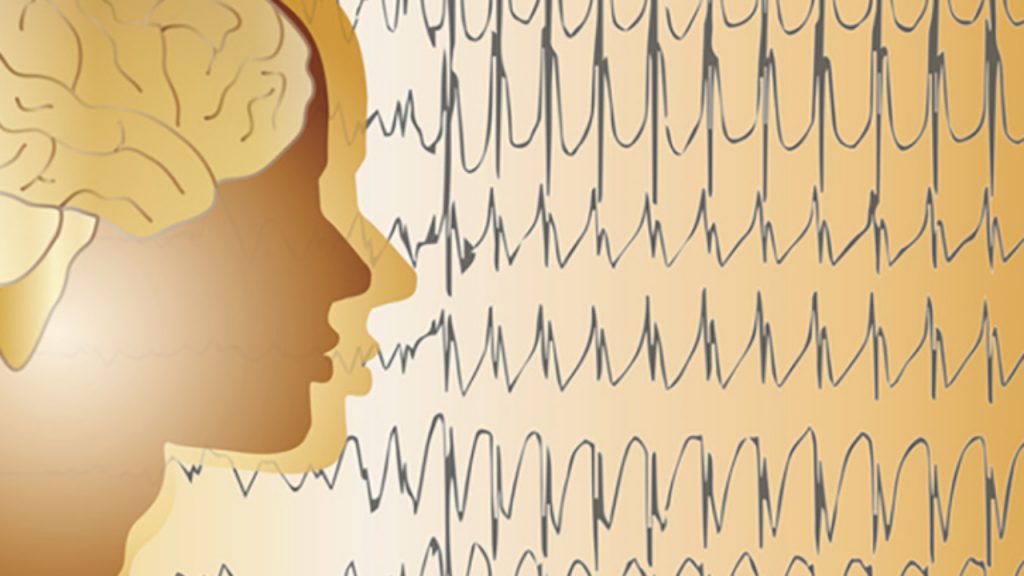 ¿Cuáles Son Los Tipos De Epilepsia?