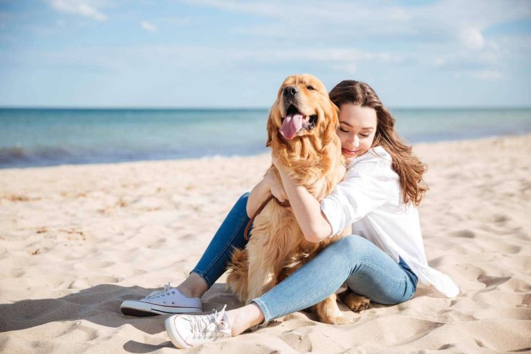 Miwuki Pet Shelter, la plataforma para la adopción y apadrinamiento de animales