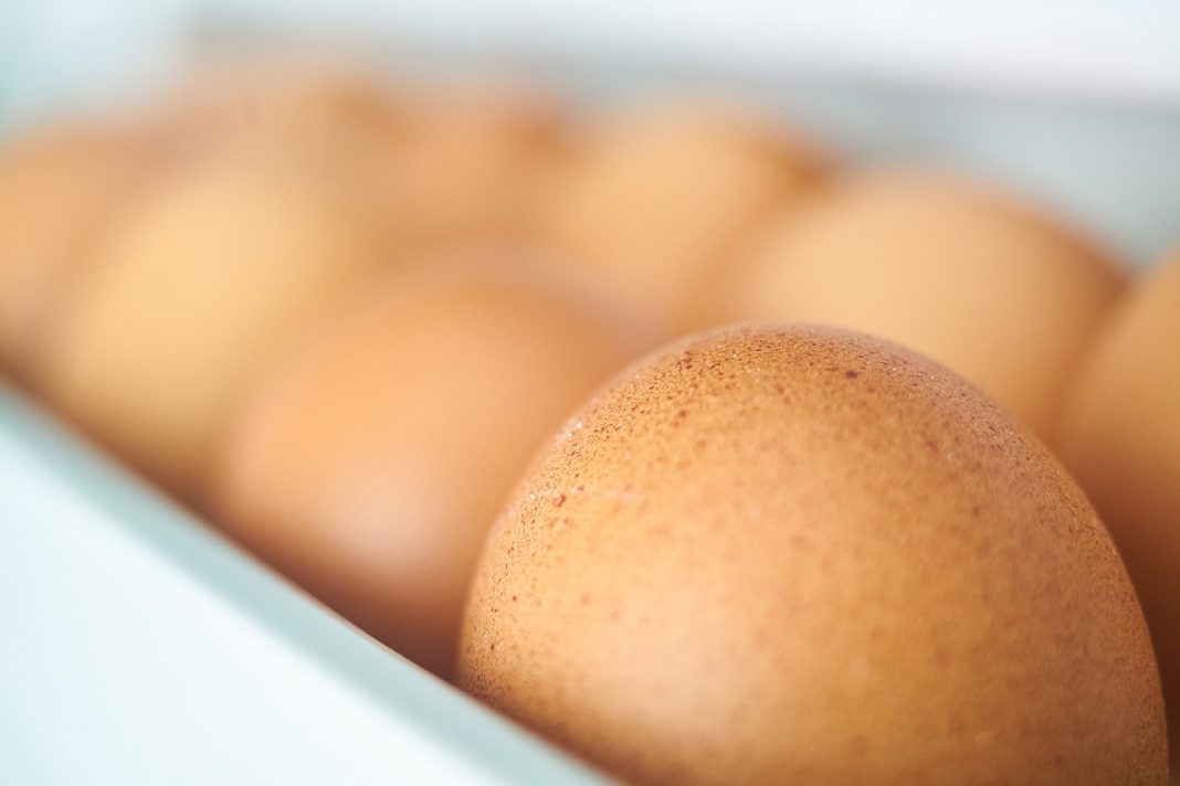 huevos