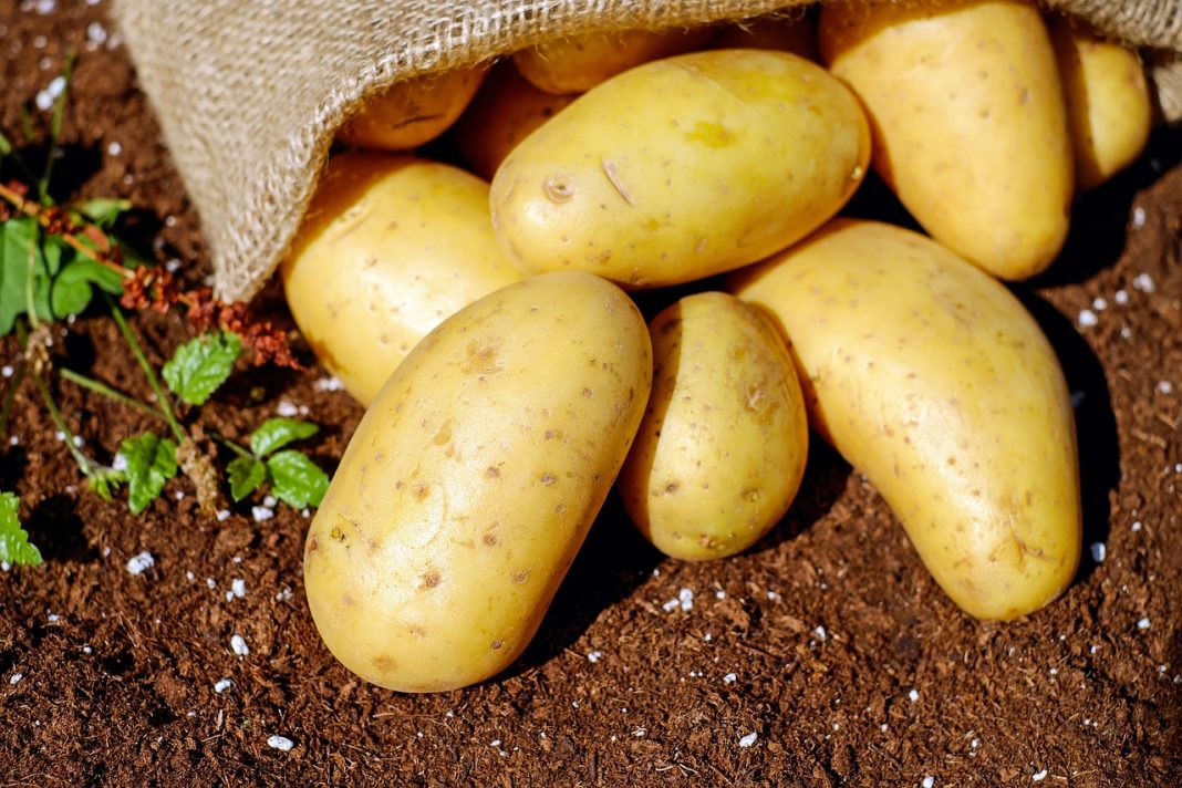 El truco para pelar patatas cocidas en segundos sin quemarte