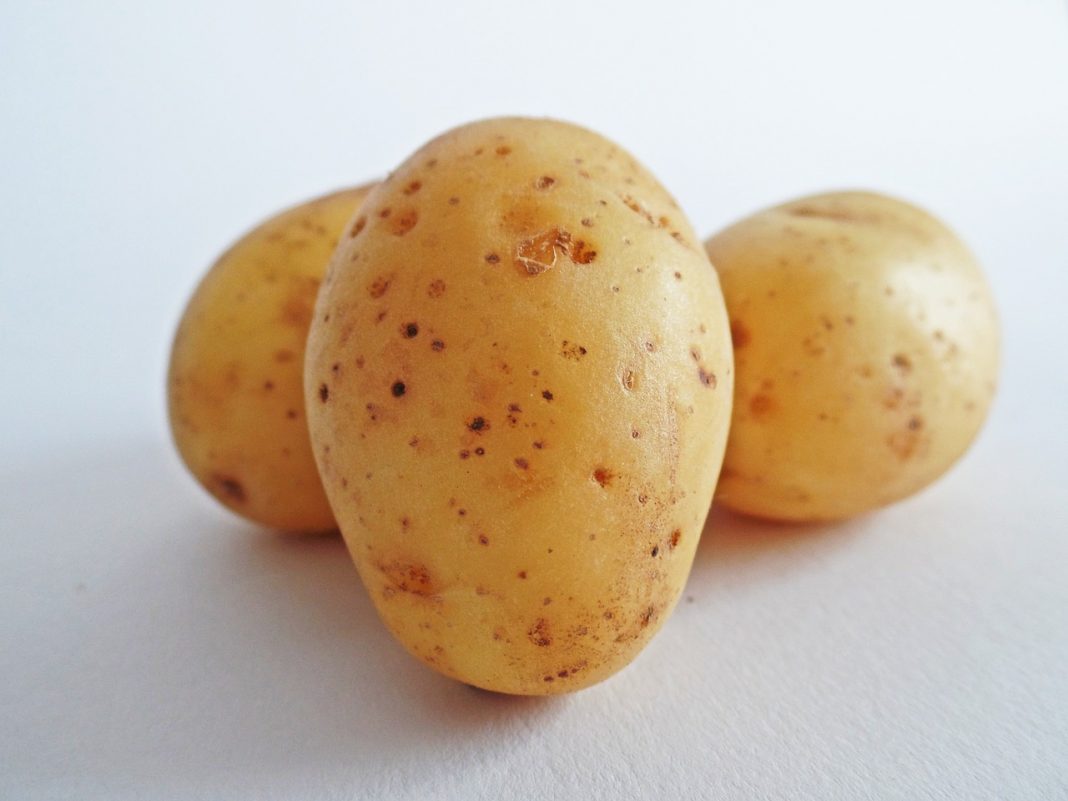 Patatas a la crema: la receta de Samantha Vallejo-Nágera que bordarás en casa