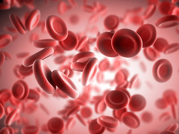 Función de las células sanguíneas 