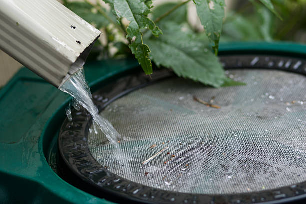 ¿Cómo Puedo Recolectar Agua De Lluvia?