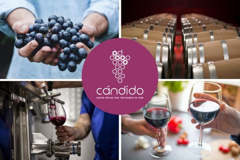 MULTINIVEL IBÉRICA obtiene el certificado de Calidad Empresarial CEDEC como reconocimiento por su gestión