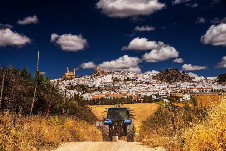 El Gobierno destinará 345 millones para fomentar la competitividad del sector agrario