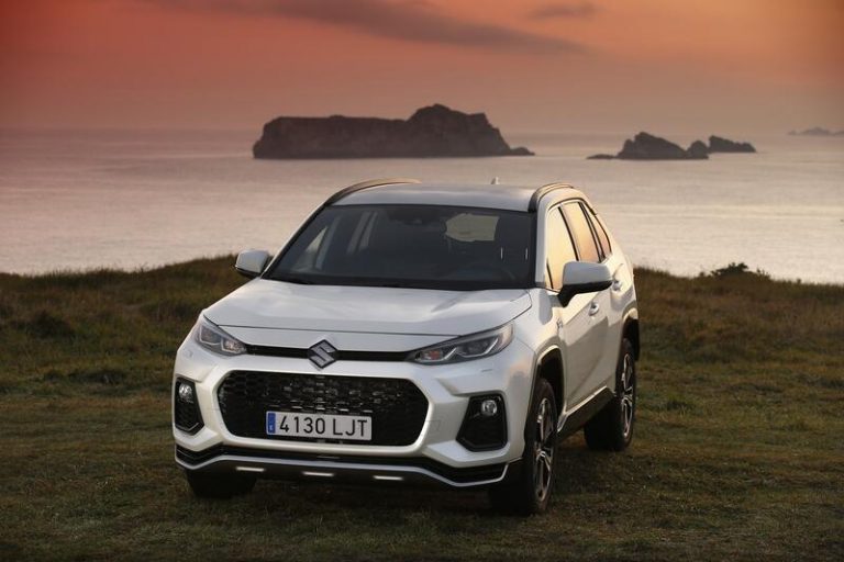 Suzuki gana un 85% más en el semestre