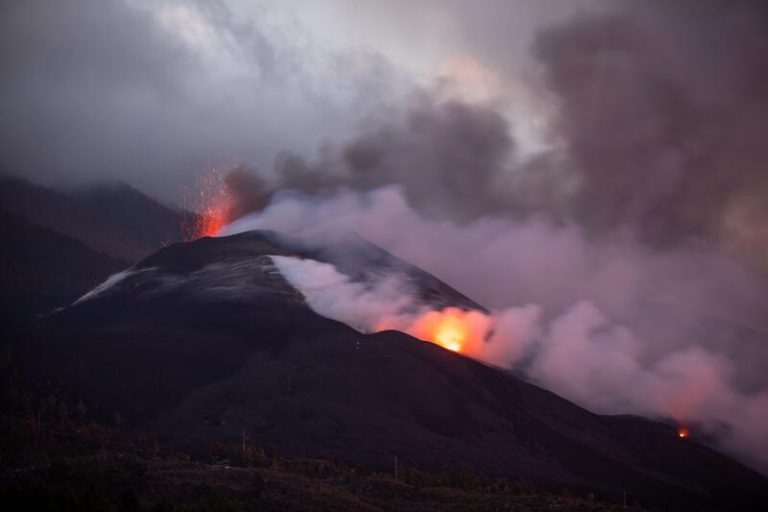 Bruselas ve «justificado» que los agricultores de La Palma reciban un nivel «comparable» de ayudas europeas