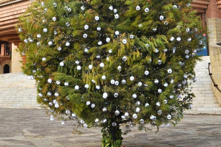 El Santuario de Torreciudad presenta un árbol de Navidad solidario con La Palma