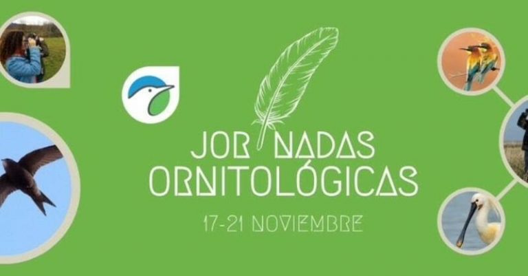 SEO/BirdLife celebra sus Jornadas Ornitológicas 2021 «más pajareras» hasta el 21 de noviembre