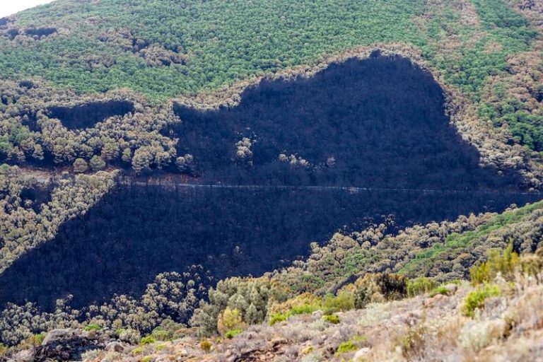Ecologistas en Acción exige para Sierra Bermeja «la máxima protección»