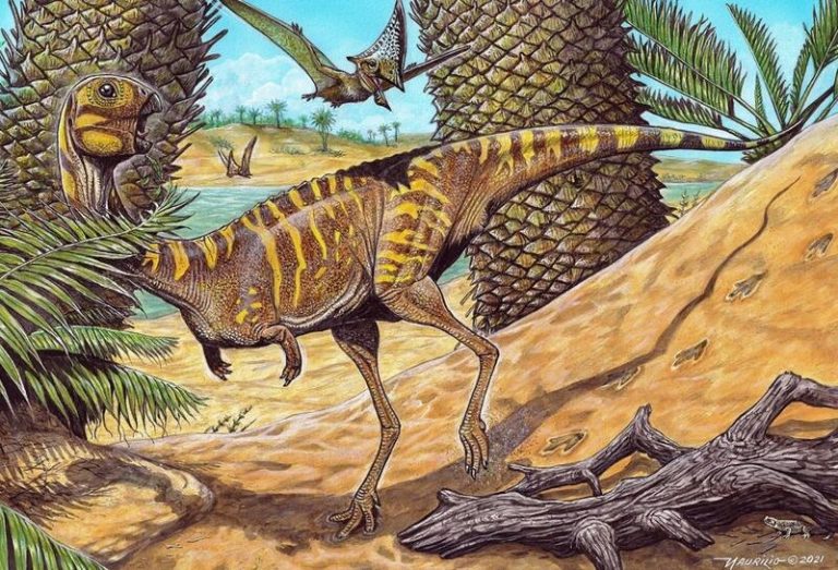 Catalogan una nueva especie emparentada con el T. Rex pero sin dientes