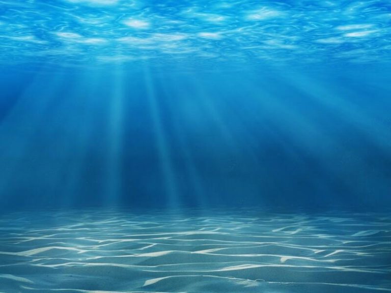 Ecologistas en Acción exige al Gobierno una moratoria de las explotaciones mineras submarinas