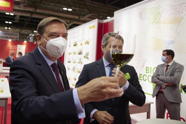Planas destaca la «formidable» labor de transformación realizada por el sector del vino