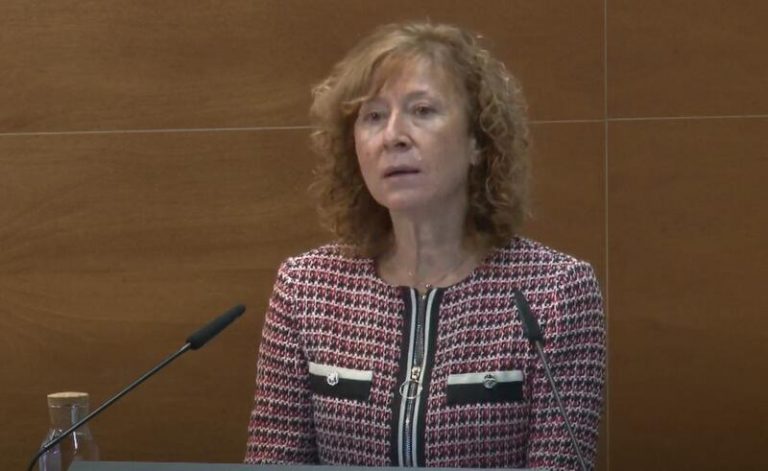 Delgado cree que la regulación de las ‘bigtech’ debe atender al riesgo que generan