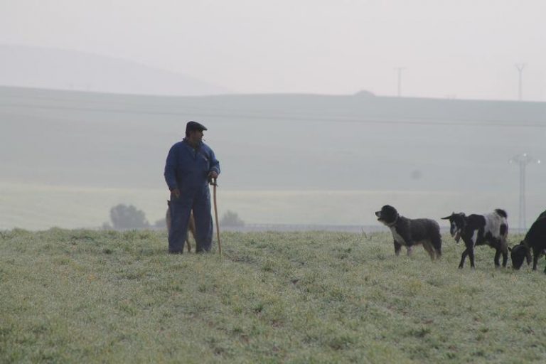 Castilla-La Mancha registra 306 nuevos casos en una jornada sin fallecidos