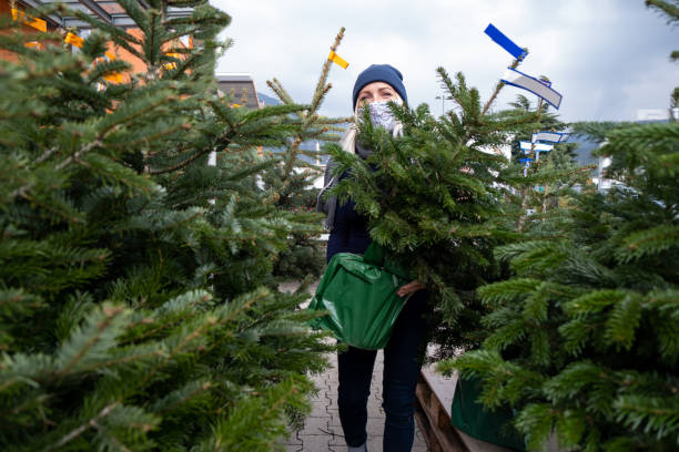 Un Árbol De Navidad Para Espacios Pequeños