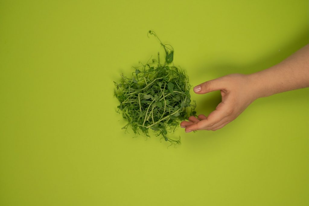 Berro, Otro De Los Alimentos Para Olvidarse De Los Medicamentos