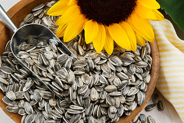 Pipas de girasol el motivo por el que no deberías abusar de ellas